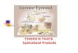 Enzyme in Food & Agricultural Products