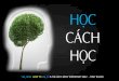 Học cách học (version 2.0) - Learning How To Learn