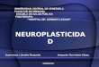 Neuroplasticidad en fisioterapia