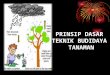 Teknik Budidaya Tanaman - Crop maintenance