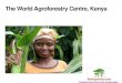 The World Agroforestry Centre, Kenya