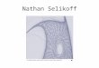 Nathan Selikoff