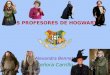 Los profesores de Hogwartstt