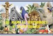 Animales vertebrados e invertebrados - Parte 3