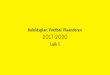 Voetbal Vlaanderen - Beleidsplan 2017-2020