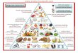 Piramide  alimentar