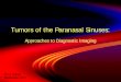 Tumors of the Paranasal Sinuses: Approaches to Diagnostic Imaging