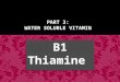 Presentation B1  thiamine