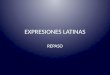 Expresiones latinas en periódicos 2