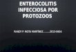 Enterocolitis infecciosa por protozoos