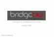 Bridge Biotherapeutics, Inc Corporate Slides