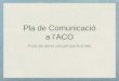 Pla de Comunicació a lACO: fruits darrer curs web