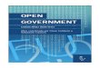 Ebook.  gobierno abierto