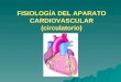 Fisiologc3ada del-aparato-cardiovascular-circulatorio