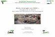 Analyse de la filière bois énergie à Kinshasa et Kisangani_web