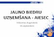 AIESEC Valmiera info event