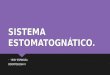 Sistema estomatognático