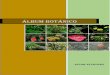 Album botánico