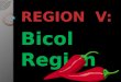 Region  V Bicol region