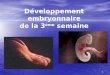 Développement embryonnaire-de-la-3ème-semaine