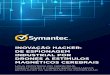 Symantec - Inovação Hacker: de espionagem industrial por drones a estímulos magnéticos cerebrais