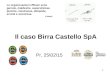 Il caso Birra Castello SpA