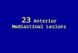 23 anterior mediastinal lesions