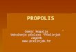 Prezentacija propolis