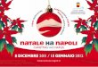 Natale Ha Napoli 2011/2012 - Programma