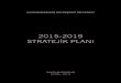 2015-2019 stratejik planı