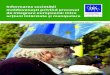 Informarea societății moldovenești privind procesul de integrare 