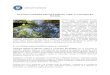Catalogul naţional al pădurilor virgine şi cvasivirgine din România