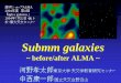 Submm galaxies