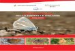Lista Rossa delle Farfalle italiane.pdf