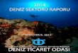 deniz sektör raporu - 2014