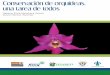Conservación de orquídeas, una tarea de todos