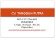 Harga Jual Kawat Bronjong Kabupaten Manggarai Barat 2017, Agen 085.217.234.482