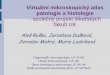 Virtuální mikroskopický atlas patologie a histologie - společný 