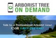 Arborist trees on demand