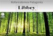 Reforestemos Patagonia  Libbey 2014