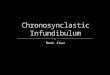 Chronosynclastic Infundibulum IV