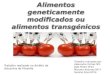 Alimentos geneticamente modificados ou Alimentos transgénicos