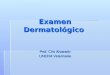 Dermatología Veterinaria