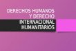 Derechos humanos y derecho internacional humanitarios