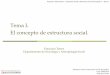 Tema I. El concepto de estructura social