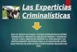 Las experticias criminalísticas