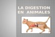 La digestion en  los animales