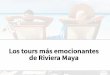 Los tours más emocionantes de la Riviera Maya