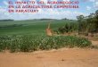 El impacto del agronegocio en la agricultura campesina en Paraguay