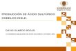 PRODUCCIÓN DE ÁCIDO SULFÚRICO CODELCO CHILE